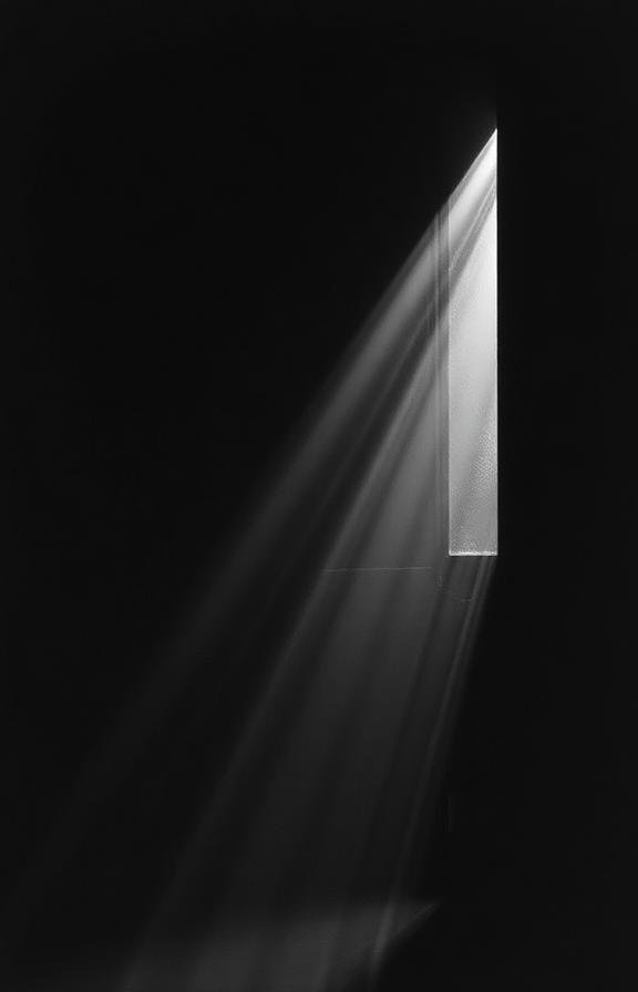 Noir Dramático